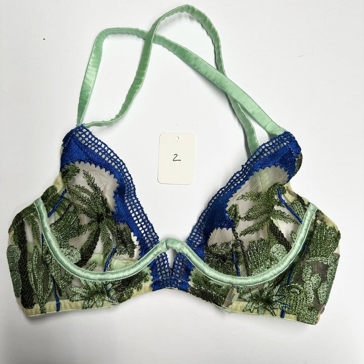 Farida Plunge Bra Sample - 2, 3 & 6